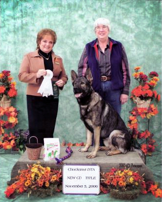 Vom Banach K9 Agililty and Competitive Obedience-Award 02