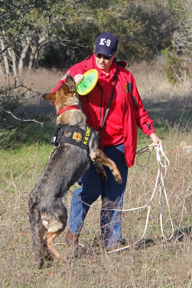 Vom Banach K9 German Shepherd Detection Dogs 02